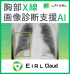 エルピクセル株式会社